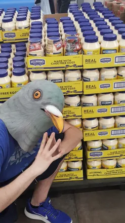 @chadpigeoncock