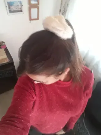@soydaiu