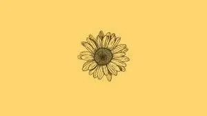 @aqlife