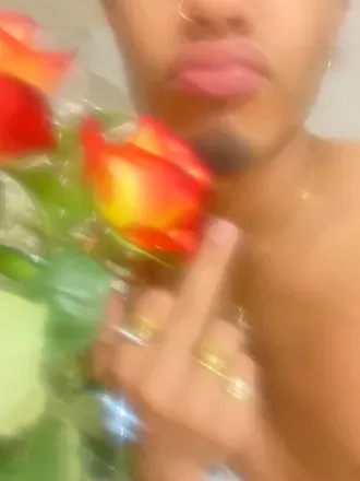 @dreamboij