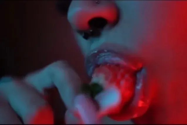 @foxyyvixens