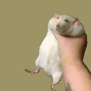 @kindaquirkydoe