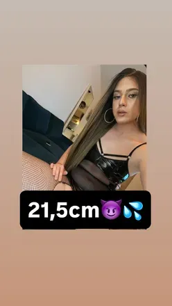 @dajahungariants