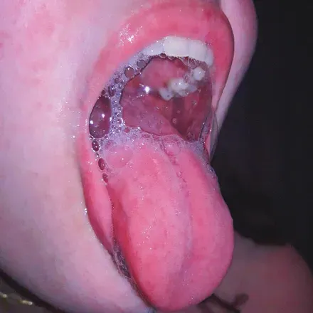 @mouth.kink