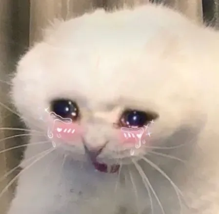 @broccollimom