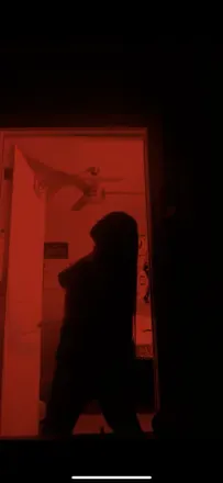 @sunflowerdreame