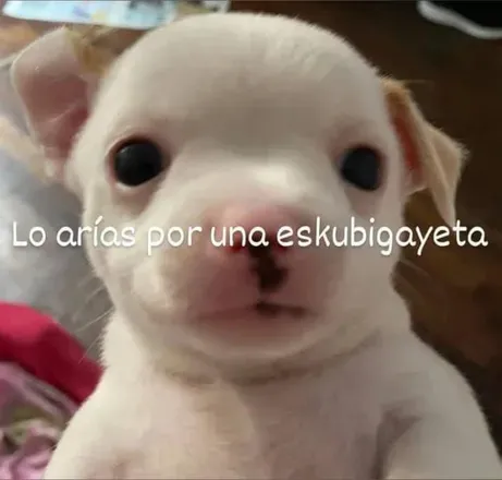 @lapeliroja2161