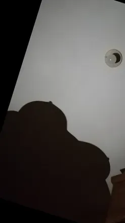 @u244403849