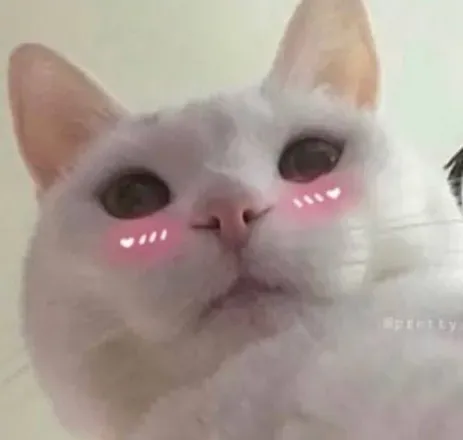 @zaeann