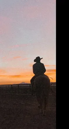 @cowboybarbie