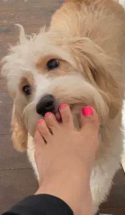 @lovemyfeetforpleasure