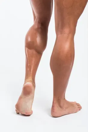 @fantasycalves