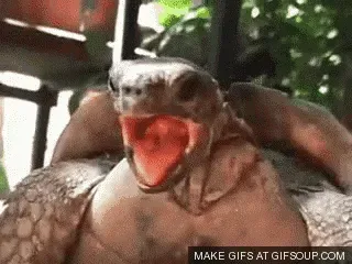 @elchupacabra810