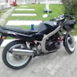 @sologuscus