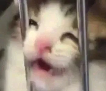 @karasboke