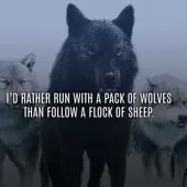 @daddywolf1876