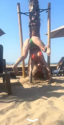 @tramaddoll