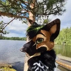@shepunzipped