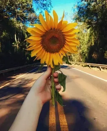 @u240579452