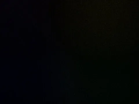 @elviramillis