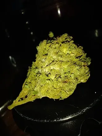 @genx420