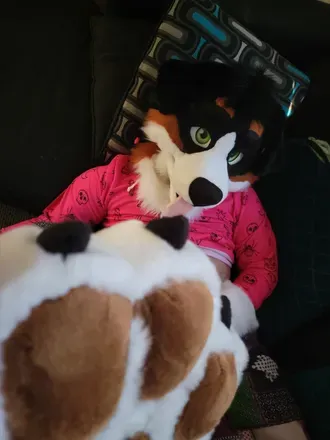 @angrybarks