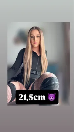 @dajahungariants