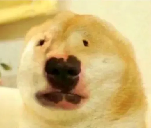 @acabrocky
