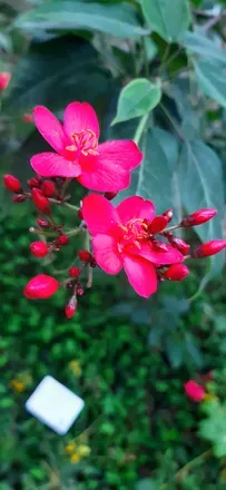 @u226589550