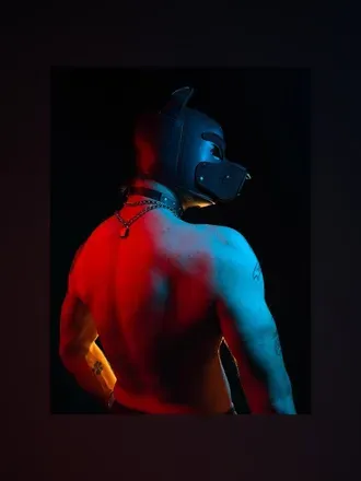 @viper02