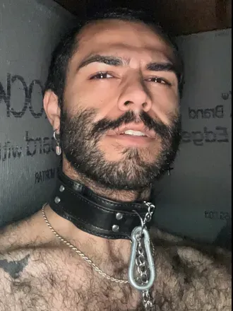 @papi_bear