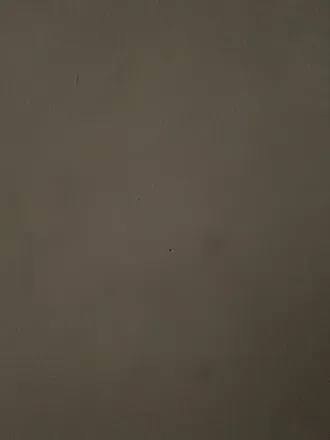 @u191196971