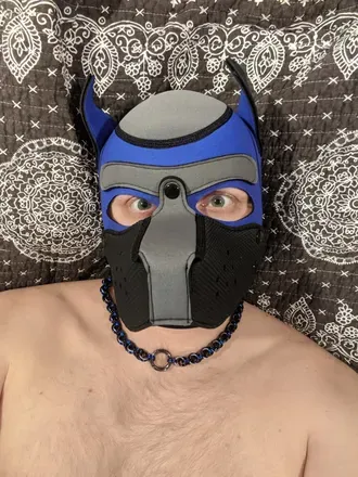 @pupgoose