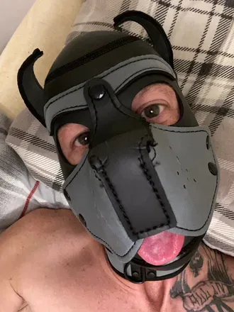 @rykerthepup