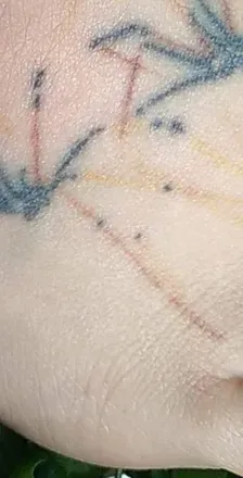 @foot.with.the.spider.tat