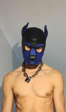 @danthehound