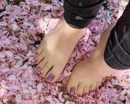 @u228266934