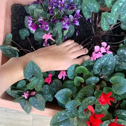 @fiorasianto