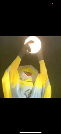 @thebeeskneesyousee