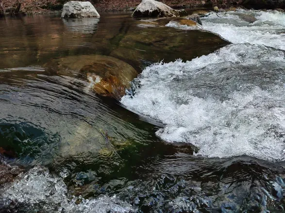 @best.of.nature