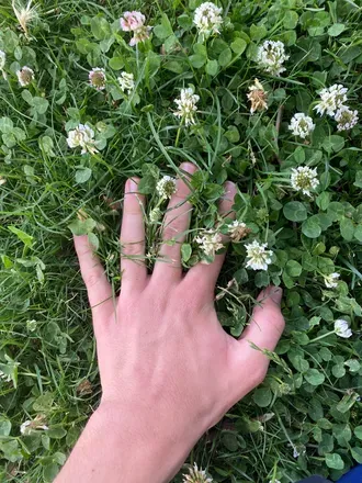 @yourhandz