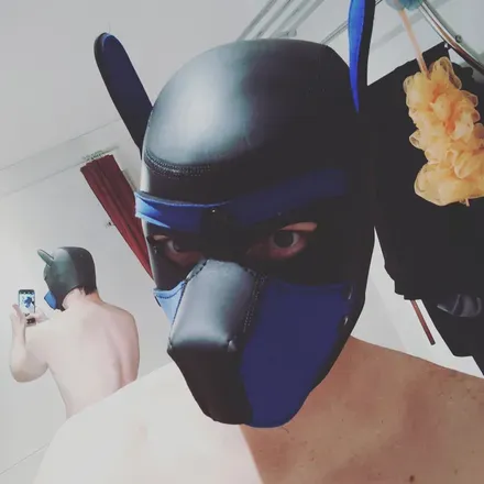 @foudre_puppy