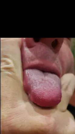 @profpussylicker