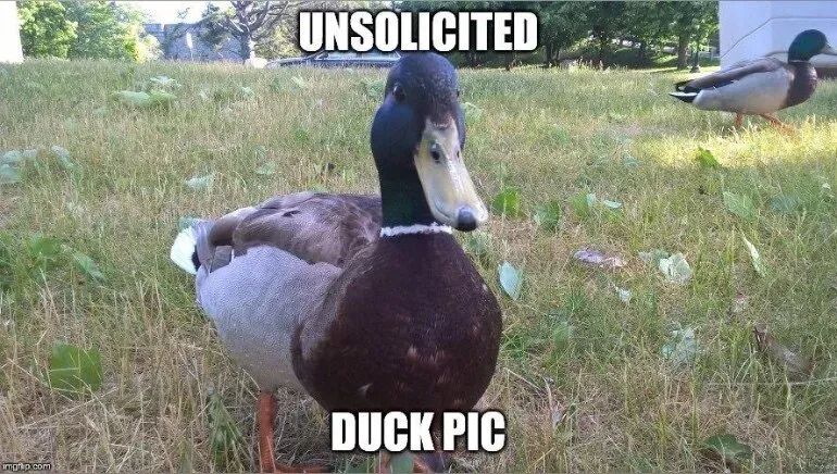 @voyeuristicgentleman