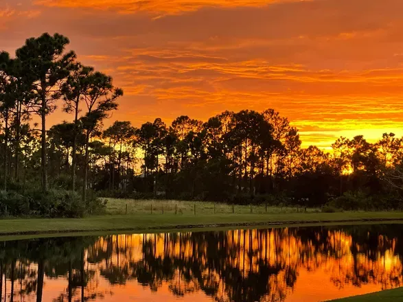 @floridaman34