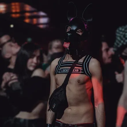 @pupmalink
