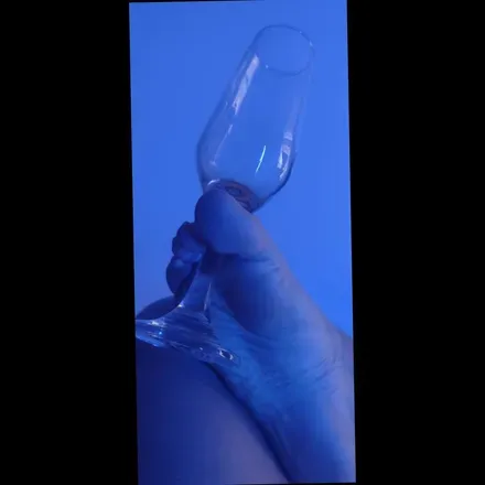 @piestraviesos_1