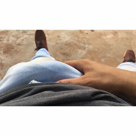 @animalfarmx