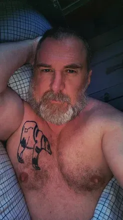 @bearinheat