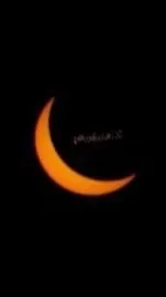 @moonbeam730